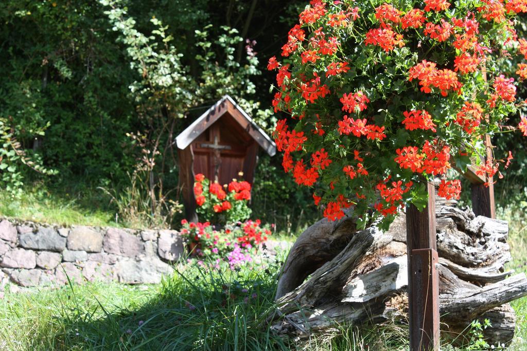Ferienbauernhof Masunerhof Fiè Esterno foto